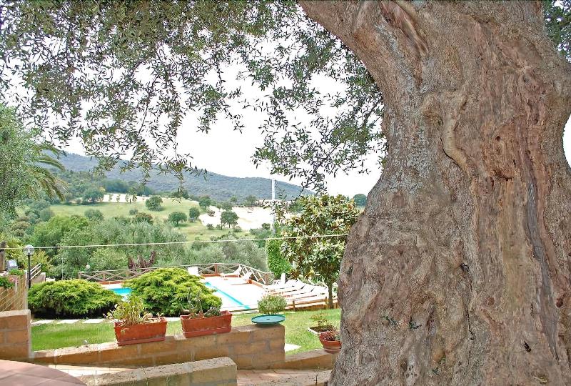 General view