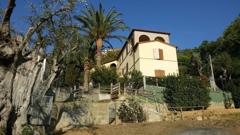 General view
