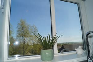 thumbnail: View from room