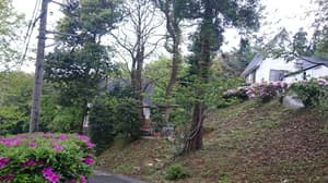 thumbnail: Property grounds