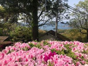 thumbnail: View from property