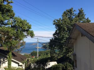thumbnail: View from property