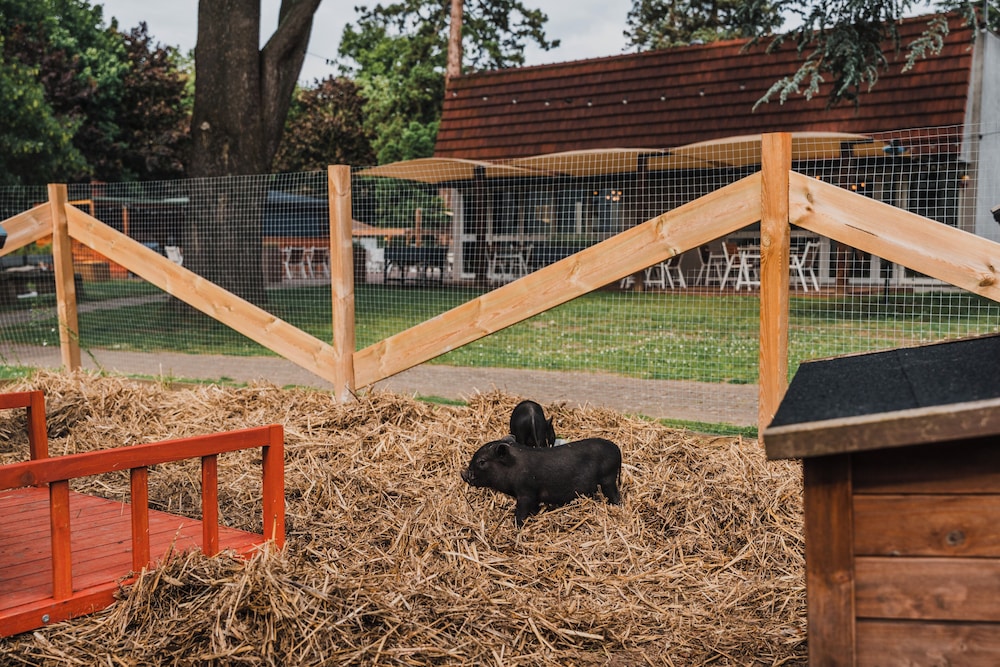 Land view from property
