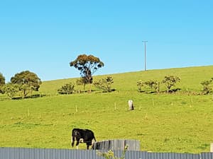 thumbnail: Land view from property