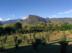 thumbnail: General view