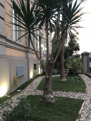 thumbnail: Garden