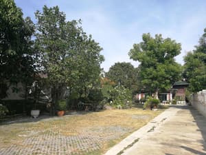 thumbnail: General view