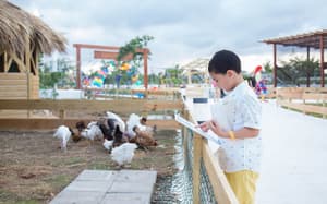 thumbnail: Children's activities