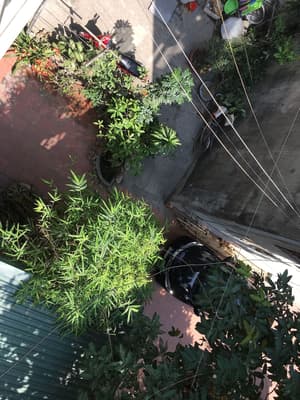 thumbnail: View from property