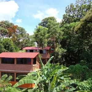 thumbnail: View from property