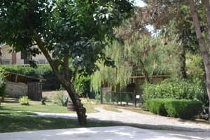 thumbnail: Garden