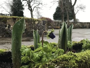 thumbnail: Terrace/patio