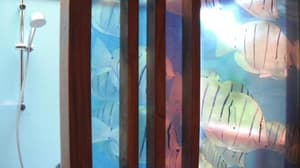 thumbnail: 62207177.jpg