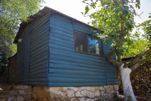 thumbnail: Exterior