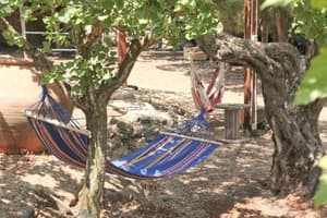 thumbnail: Property grounds