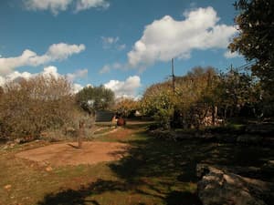 thumbnail: Property grounds