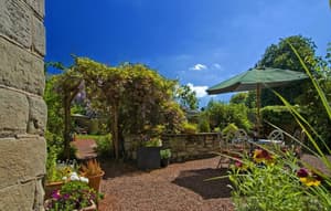 thumbnail: Garden