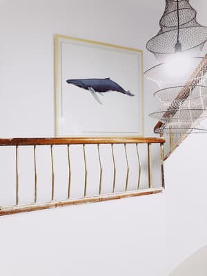 thumbnail: Interior entrance