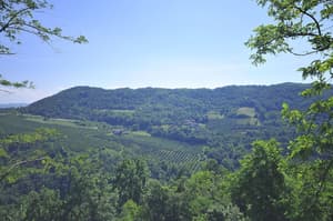 thumbnail: View from room