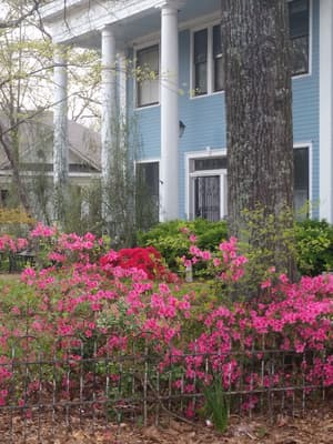 thumbnail: Property grounds