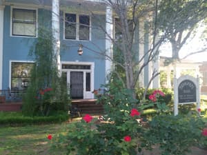 thumbnail: Garden view