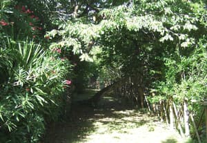 thumbnail: Garden