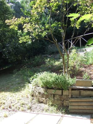 thumbnail: Garden