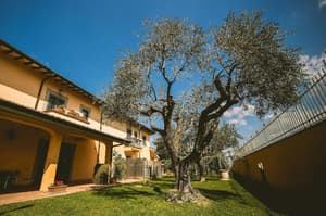 thumbnail: General view