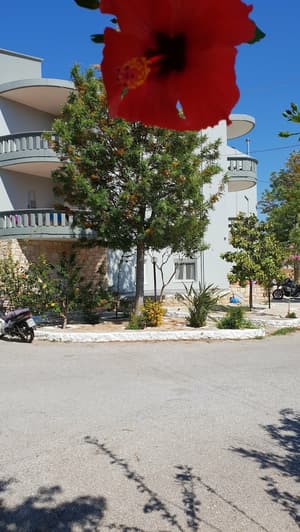 thumbnail: Front of property
