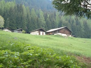 thumbnail: Property grounds