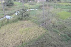 thumbnail: 137575304.jpg