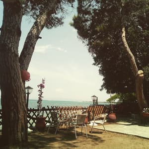 thumbnail: Garden