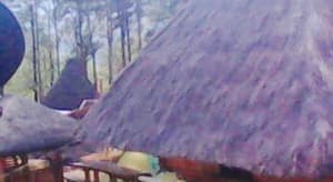 thumbnail: 61635470.jpg