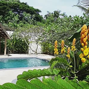 thumbnail: Outdoor pool