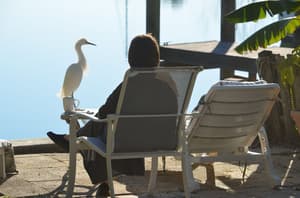 thumbnail: Dock