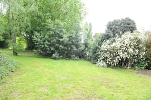 thumbnail: Garden