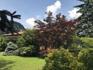 thumbnail: General view