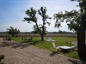 thumbnail: Garden