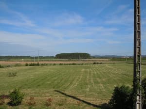 thumbnail: Garden
