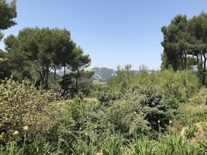 thumbnail: View from property