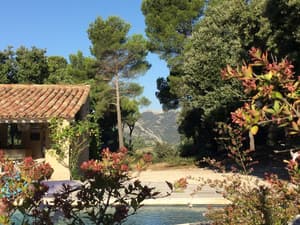 thumbnail: Garden