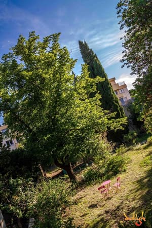 thumbnail: Garden