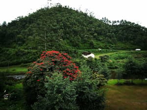 thumbnail: Exterior
