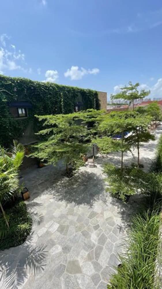 Garden view