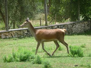thumbnail: Property amenity