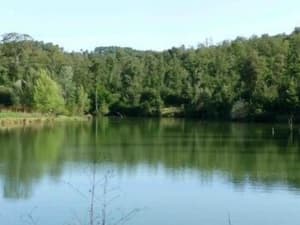 thumbnail: Lake view