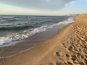 thumbnail: Beach