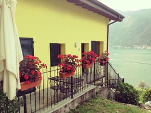 thumbnail: Terrace/patio