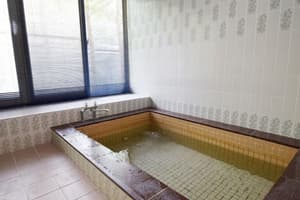 thumbnail: Indoor spa tub