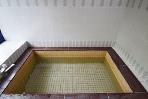 thumbnail: Indoor spa tub